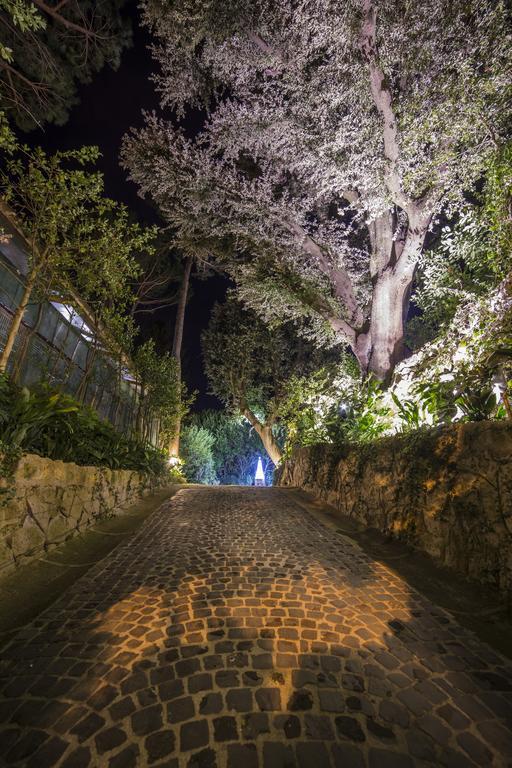 La Canonica Dei Fiori - Anna Fendi Country House Ξενοδοχείο Ronciglione  Εξωτερικό φωτογραφία